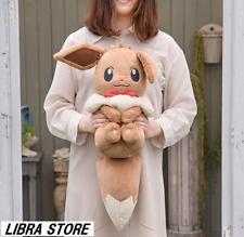 RARE Pokémon Eevee EIEVUI & Colorful Art Kuji Plush doll B ver. EXPRESS from JP picture