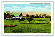 c1920s Country Club and Golf Links, Conneaut Ohio OH Unposted Postcard picture