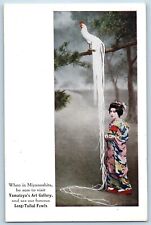 Japan Postcard Miyanoshita Yamatoya's Art Gallery Long Tailed Fowls c1910's picture