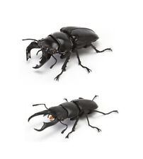 The Diversity of Life on Earth Stag Beetle Vol 4 Figure Bandai Gashapon set of 2 picture