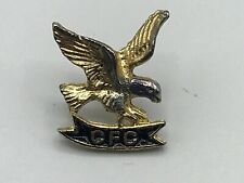 Vintage CFC Combined Federal Campaign Lapel Pin Eagle A4 picture