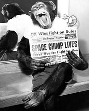 HAM THE ASTROCHIMP HOLDING THE SAN FRANCISCO EXAMINER - 8X10 NASA PHOTO (SP500) picture