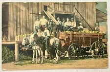 Hauling Grapefruit In Florida. Horses And Wagon 1914.￼Vintage Postcard picture