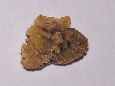 KIDNEY STONE (REAL HUMAN KIDNEY STONE) 5mm picture