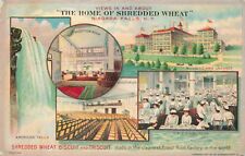 Shredded Wheat Multiview Advertising Postcard All Girl Dining, Auditorium, c1912 picture