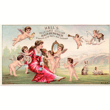 Hall's Vegetable Sicilian Hair Renewer ~ Baldness ~ Antique Victorian Trade Card picture