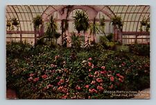 Detroit MI-Michigan Interior Horticultural Building Belle Isle Vintage Postcard picture