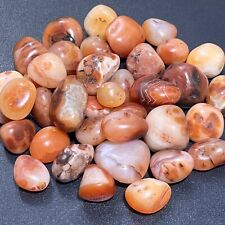 Carnelian Red Agate Tumbled (1 LB) One Pound Bulk Wholesale Lot Polished Natural picture