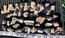 ☘️RR⛏: 41 Triassic Fossil Specimens From Northeast Arizona, Phytosaur, 384 Grams picture