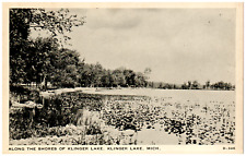 Postcard Vintage Shoreline View of Klinger Lake, MI picture