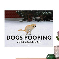 2024 Dog Poop Calendar Creative Funny Monthly Calendar picture