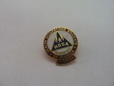 Vintage HOSA Health Organizations Students Assc. of America Florida Pin Award picture