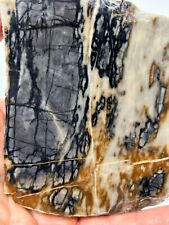 Picasso Marble (Jasper) Rough Slab Cabbing Lapidary Reiki Chakra Utah picture