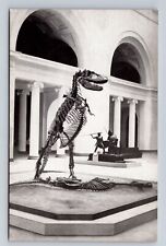 Chicago IL-Illinois, Dinosaurs Predator And Prey, Museum, Vintage Postcard picture