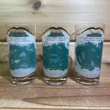 Winged Foot Mid-Ocean Oakland Hills Golf Club Drinking Glasses Gold Green  1960s picture