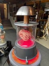 Halloween Frankenstein Life-like human brain LAMP picture