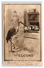 1910 Ocean Park CA Welcome Stork Bringing Baby  Paternity Postcard picture