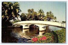 Waterways Interlace The Residential Section Of Town Coral Gables FL Postcard picture