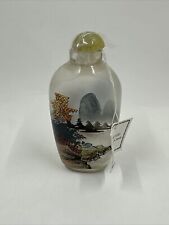 VTG Chinese Asian Reverse Hand Painted Lake Landscape Glass Snuff Bottle CB21 picture