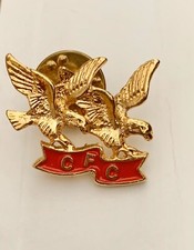 CFC Combined Federal Campaign Double Eagle Goldtone & Enamel Pin picture