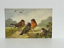 Postcard Birds by C.Klein A60 picture