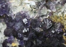 1140g Beauty Rare Purple Cube “Pattern” Fluorite Mineral Specimens/China picture