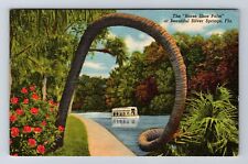 Silver Springs FL-Florida, Horse Shoe Palm, Glass Bottom Boat, Vintage Postcard picture