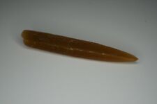 Belemnite Fossil (squid) from Cretaceous period 67-74 Million years old from NJ picture