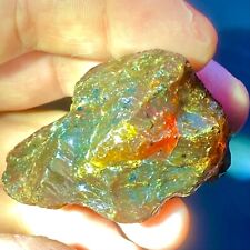 UV Active Indonesian Copal Amber Tree Resin Raw Rough Crystal Natural Mineral  picture