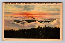 Clingmans Dome NC-North Carolina, Great Smoky Mts Natl Park, Vintage Postcard picture