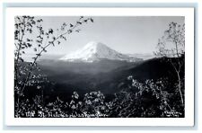c1930's A View Of Mount Helens Washington RPPC Photo Unposted Antique Postcard picture