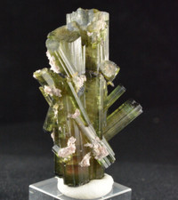 Watermelon Tourmaline, Cruzeiro Mine, Brazil picture