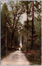 1909 CA-California, Road to the Glen Lake Tahoe, Horse & Wagon, Vintage Postcard picture