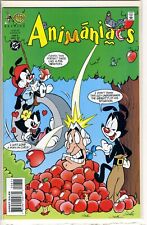 Animaniacs Comics #8 1995 Bagged & Boarded Never in Circulation picture