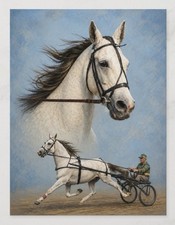POSTCARD STANDARDBRED GREYHOUND HORSE RACEHORSE PAINTING COPY PRINT 4.25”x5.5” picture