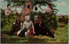 Vintage 1910s Anthropomorphic Animal Postcard 