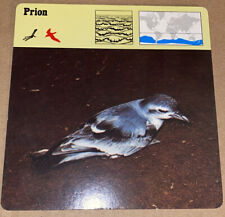 Vintage 1976 Animal Card - Prion - Printed In Japan picture