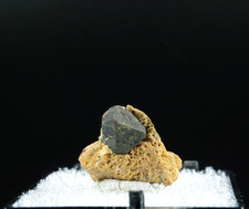 Perovskite / Perovskite Hill, Arkansas / Rare Thumbnail Mineral picture