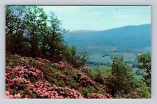 Wytheville VA-Virginia, Sky Ridge At Big Walker, Antique, Vintage Postcard picture