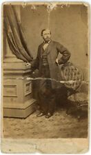 Circa 1890's Antique CVD Regal Portrait of Statesman with Beard Wearing Suit picture