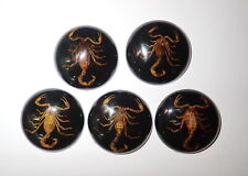Insect Cabochon Golden Scorpion Round 38 mm on black bottom 5 pieces Lot picture