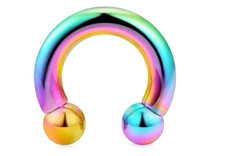 1 6g 1/2 Rainbow horseshoe PVD 316L Surgical Steel Piecing Barbell Scrotum Ring picture