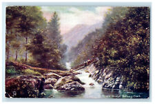 c1910 Miners Bridge Bettsw-y Coed Wales Unposted Oilette Tuck Art Postcard picture