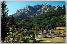 Castle Crags State Park California Forest Mountain Rock Formation VNG Postcard picture