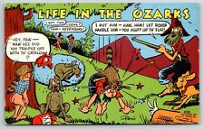 Comic 1950 Life In The Ozarks Humor Funny Dogs E.C. KROPP Postcard picture