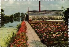 Vintage Postcard 4x6- FLOWER GARDEN, AALSMEER, HOLLAND picture
