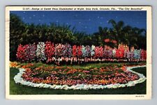 Orlando FL-Florida, Hedge Of Sweet Peas At Night, Vintage c1941 Postcard picture