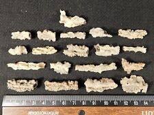 Big Lot of 100% Natural HOLLOW FULGURITE s or Petrified Lighting 12.6gr picture