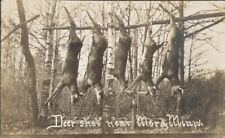 Postcard Real Photo Successful Deer Hunt Hunting Mora Minnesota 1910 picture