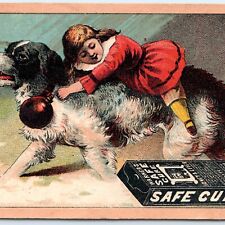 c1880s Warner's Safe Cure Quack Medicine Trade Card Girl Ride Dog Drug Box C48 picture